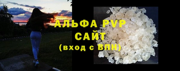 индика Нефтекумск