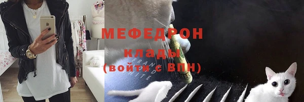 индика Нефтекумск