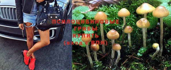 мет Нея