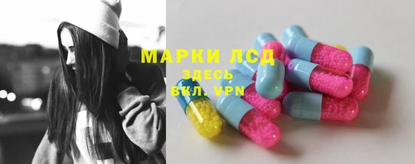 индика Нефтекумск