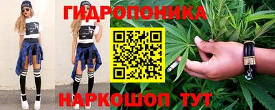 гашик Гай