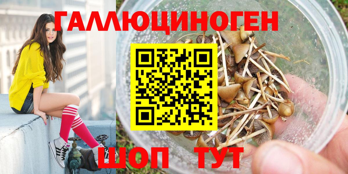 Галлюциногенные грибы мухоморы Лениногорск