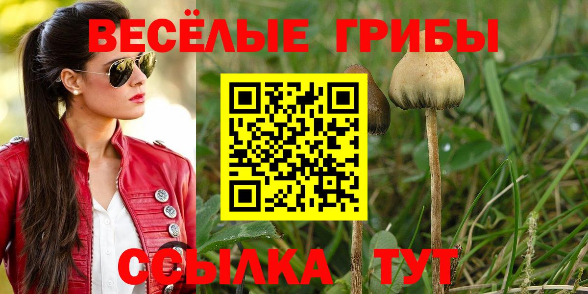 Лениногорск  Галлюциногенные грибы прущие грибы  Вход с VPN 